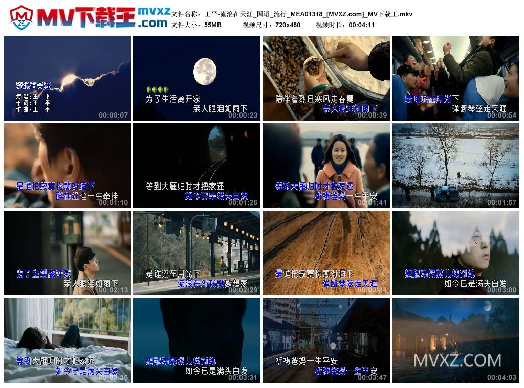 王平-流浪在天涯_国语_流行_MEA01318